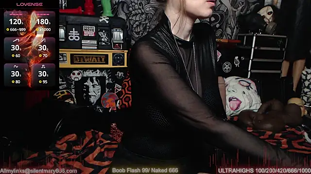 Snapshot of Silentmary chatting on February 2025 04:53:02 PM Silentmary online show from February 2025 04:53:02 PM