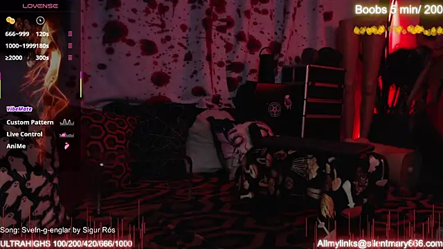 Snapshot of Silentmary chatting on October 2025 10:36:01 AM Silentmary online show from October 2025 10:36:01 AM