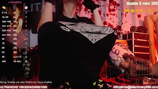 Snapshot of Silentmary chatting on October 2025 09:02:01 AM Silentmary online show from October 2025 09:02:01 AM