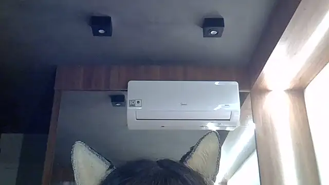 Skinny-Kitten online show from June 2026 11:36:01 AM