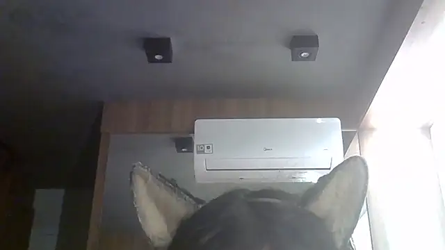 Skinny-Kitten online show from June 2026 01:28:01 PM