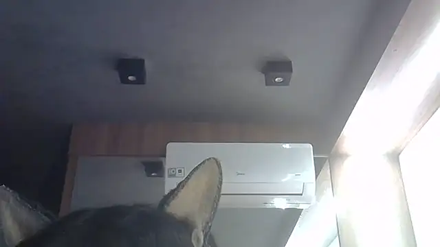 Skinny-Kitten online show from June 2026 01:33:01 AM