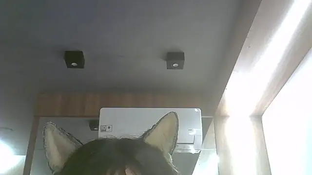 Skinny-Kitten online show from July 2026 11:53:02 PM
