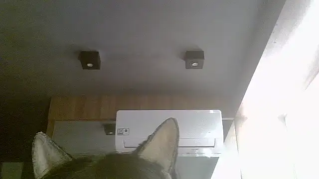 Skinny-Kitten online show from July 2026 07:12:01 AM