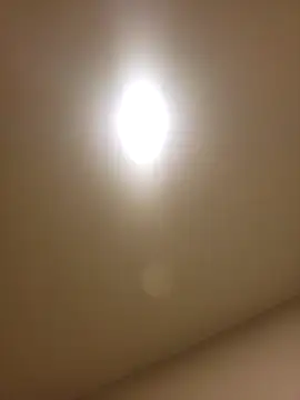 lofibunni online show from February 2026 12:46:02 PM