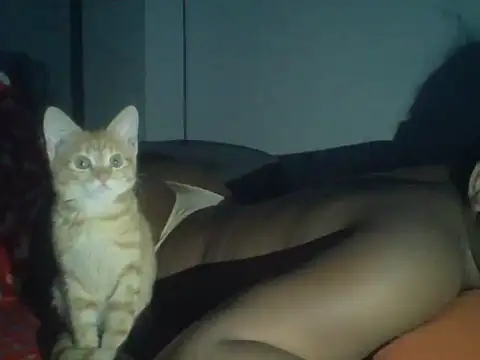 val5 online show from January 2026 03:00:02 AM