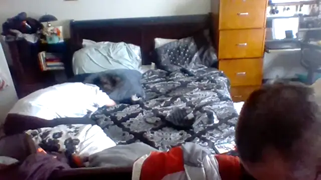 Snapshot of ThickStickly1 chatting on April 2026 06:25:02 PM ThickStickly1 online show from April 2026 06:25:02 PM
