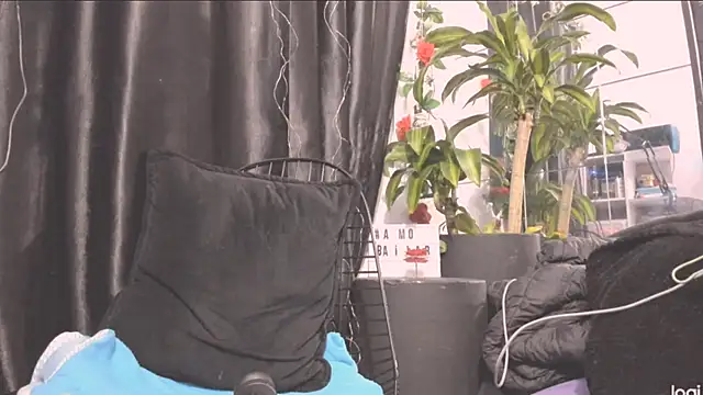 MYFAVOURITESTRAGER online show from December 2024 10:28:01 AM