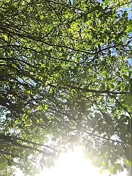 hottottrot691 online show from September 2025 09:09:02 PM