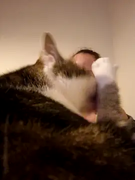 Wisie Cutie online show from February 2025 11:04:02 PM