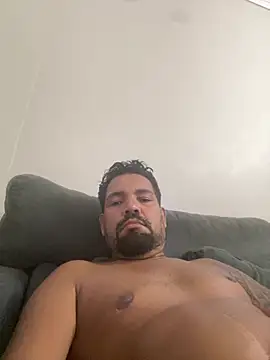 adgato online show from February 2026 01:13:02 AM