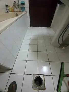 dream catcher online show from January 2025 05:39:02 PM