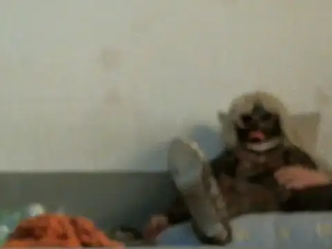 Snapshot of qwer1234 chatting on March 2026 05:47:02 AM qwer1234 online show from March 2026 05:47:02 AM