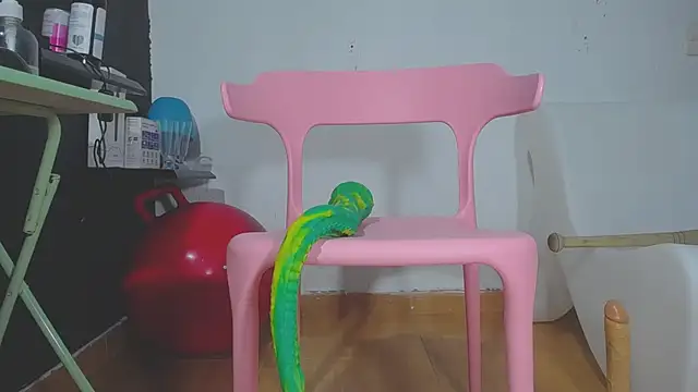 girl squiting online show from January 2025 03:22:02 AM