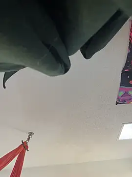 Snapshot of Terrafirma chatting on January 2025 04:11:02 PM Terrafirma online show from January 2025 04:11:02 PM