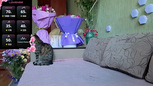 Miss Flexi fit online show from March 2026 12:09:01 PM