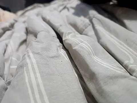 Mailsonp online show from March 2026 03:35:02 PM