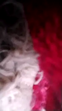 Bigcockmexi13 online show from October 2025 03:11:01 PM