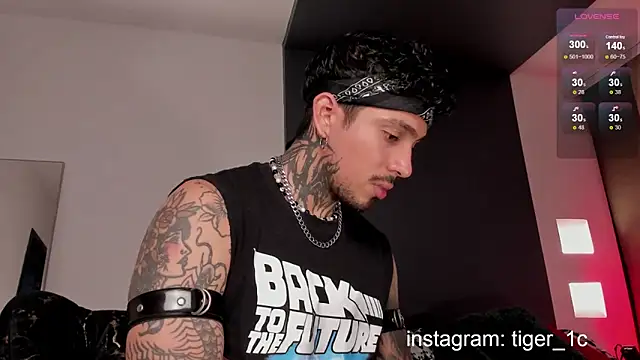 TigerStripes1  online show from December 2024 11:54:01 PM