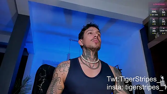 TigerStripes1  online show from February 2025 05:40:01 AM