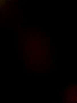 htopatudo online show from March 2026 12:21:01 AM