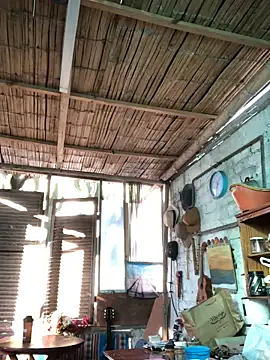 kvr27 online show from November 2025 11:58:01 AM