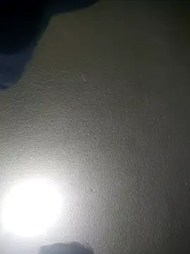 Elcogetuquieres online show from January 2026 07:00:01 AM