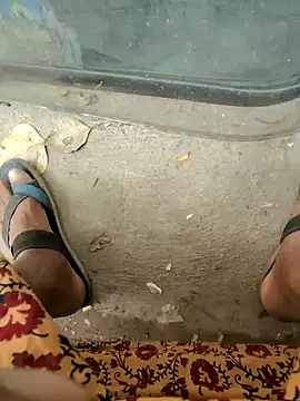 Kolkata   Boy online show from February 2025 08:22:02 AM